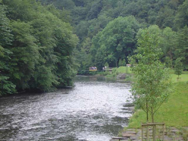 DSC05763