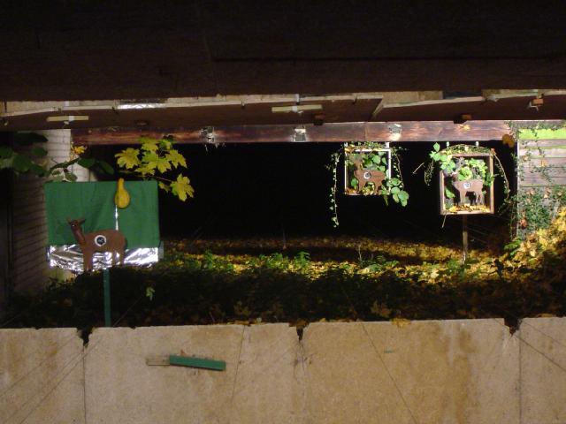 DSC06719